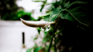 Monsoon Management in Mangalore | Expert Tips & Rain-Proofing Solutions 2 Monsoon Management in Mangalore | Expert Tips & Rain-Proofing Solutions